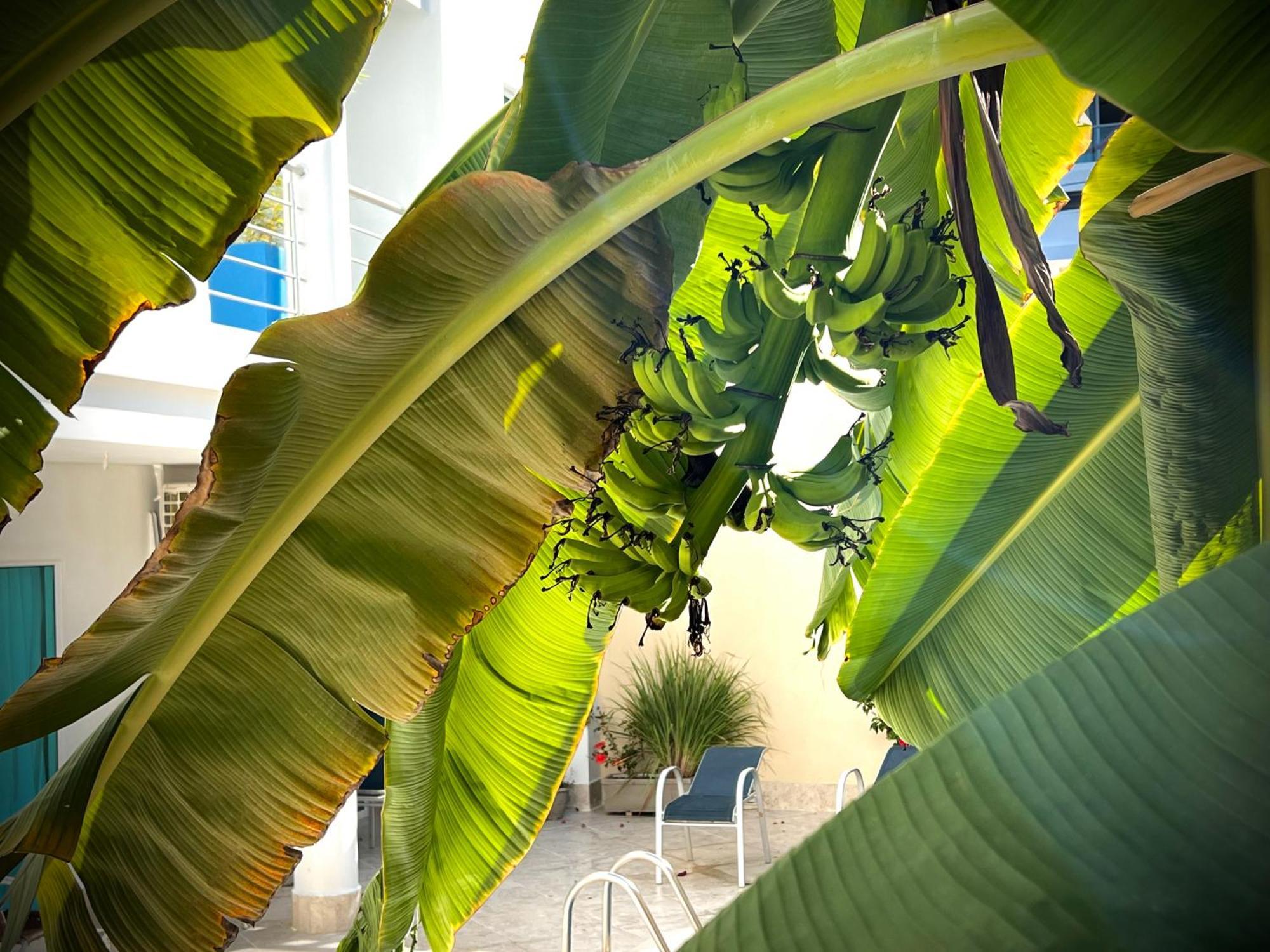 Charme 64 Hotel Boutique Cartagena Kültér fotó